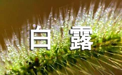 表示白露的诗句（精选165句）