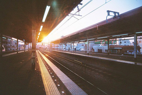 写月景的诗句80句