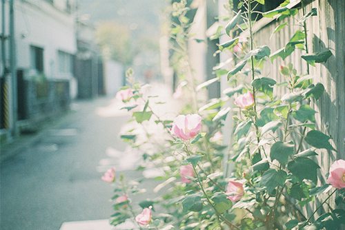幽默笑话短信91句