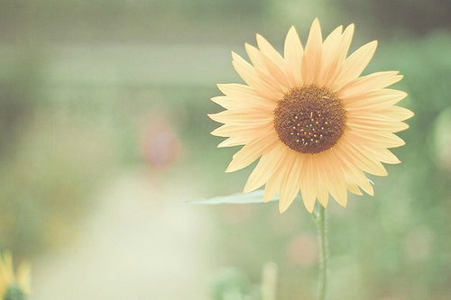 元宵节爱意短信82句