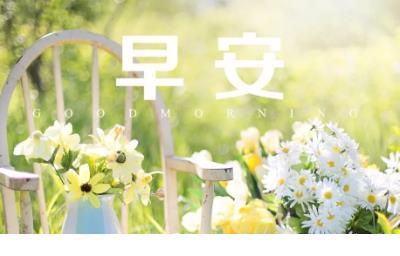 关于爱情美好的句子