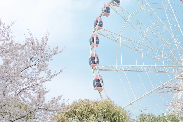 很成熟很现实的心情说说 很现实很道理的说说致自己