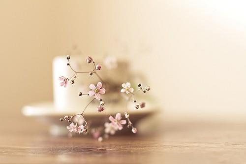 能感动到哭的暖心句子