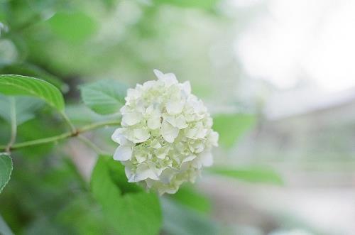 关于夜雨的伤感句子