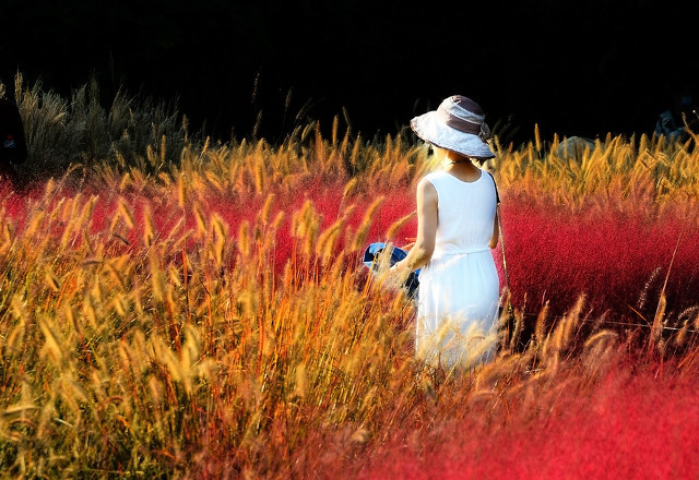 爱情悲伤句子 悲伤说说大全卑微的爱情伤感句子