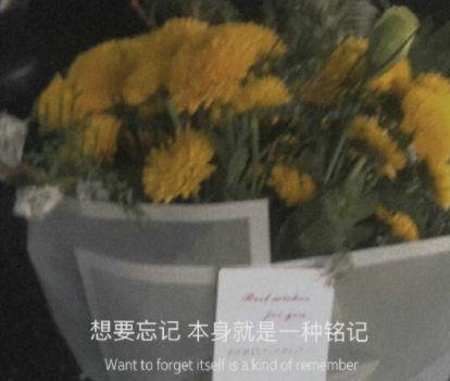 关于追梦的励志唯美短句青春子