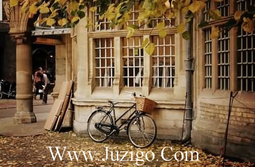 疯言疯语有哲理的句子简短而有哲理的句子(精选35句)