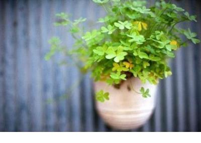 给自己的说说励志短语