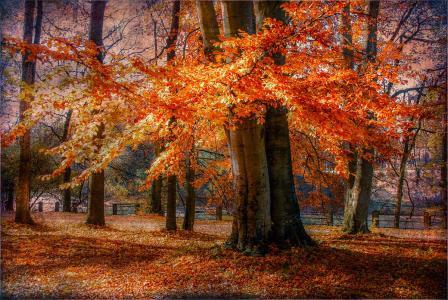 【热门】2025年哲理句子汇编97条