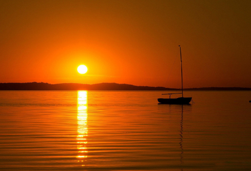 1687293086230994.png image.png