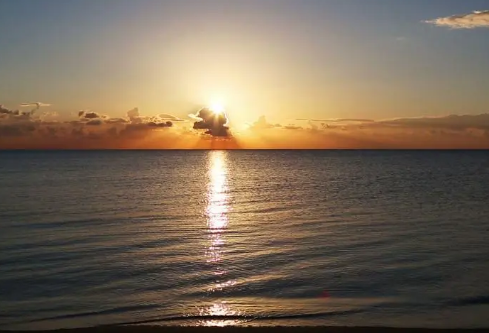 1687320894123161.png image.png