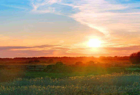 1702256823452342.png image.png