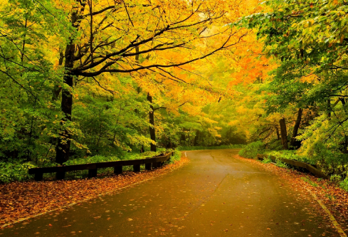 1702245233769939.png image.png