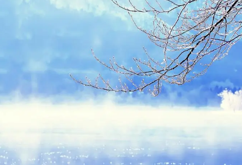 1702255001648717.png image.png