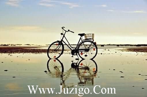 最新的爱情表白的短信大全(经典爱情表白短信大全)