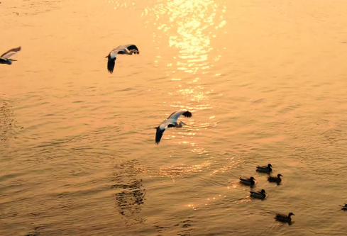 1702272219491287.png image.png