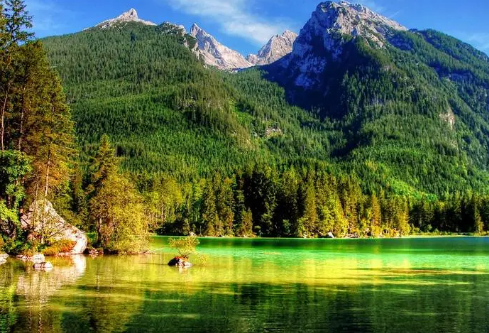 1711035763532629.png image.png