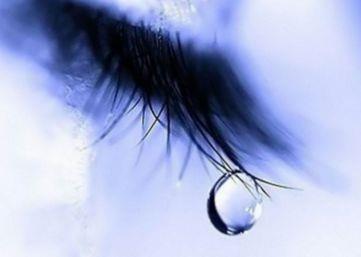 婚姻爱情人生感悟语句