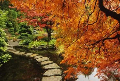 1702287290979530.png image.png