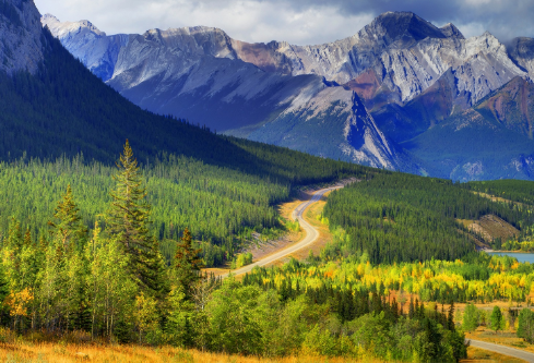 1702288781226950.png image.png