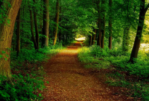 1711004514711945.png image.png