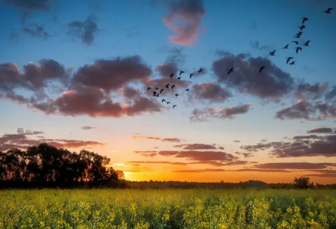 1711021956350083.png image.png