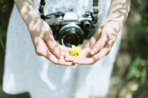 重阳节优美句子简短文案说说(精选95句)