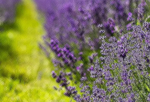 1711079789530269.png image.png