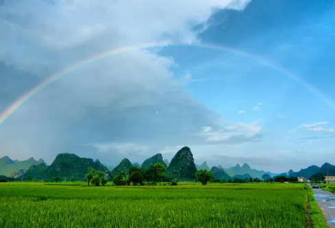 1711080287223963.png image.png