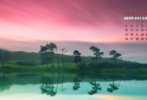 1711080951670623.png image.png