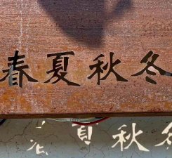 ​关于思乡之情的优美句子（抒发思乡之情的句子）