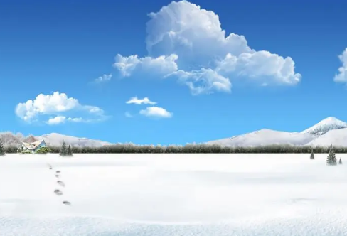 image.png