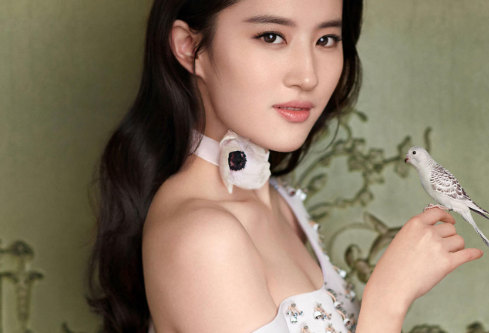 1761127730255882.png image.png