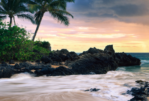 1768473915567115.png image.png