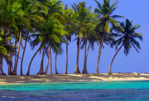 1768475573239230.png image.png