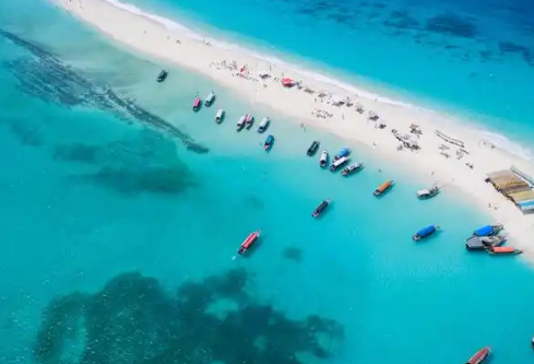 1768475905914126.png image.png